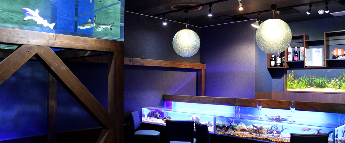 BAR&SHOWROOM